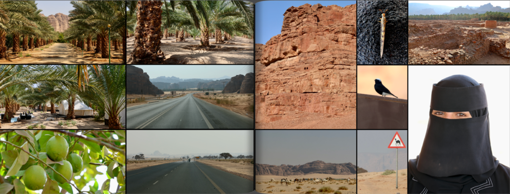 schermafbeelding 2026 01 26 om 21.00.21